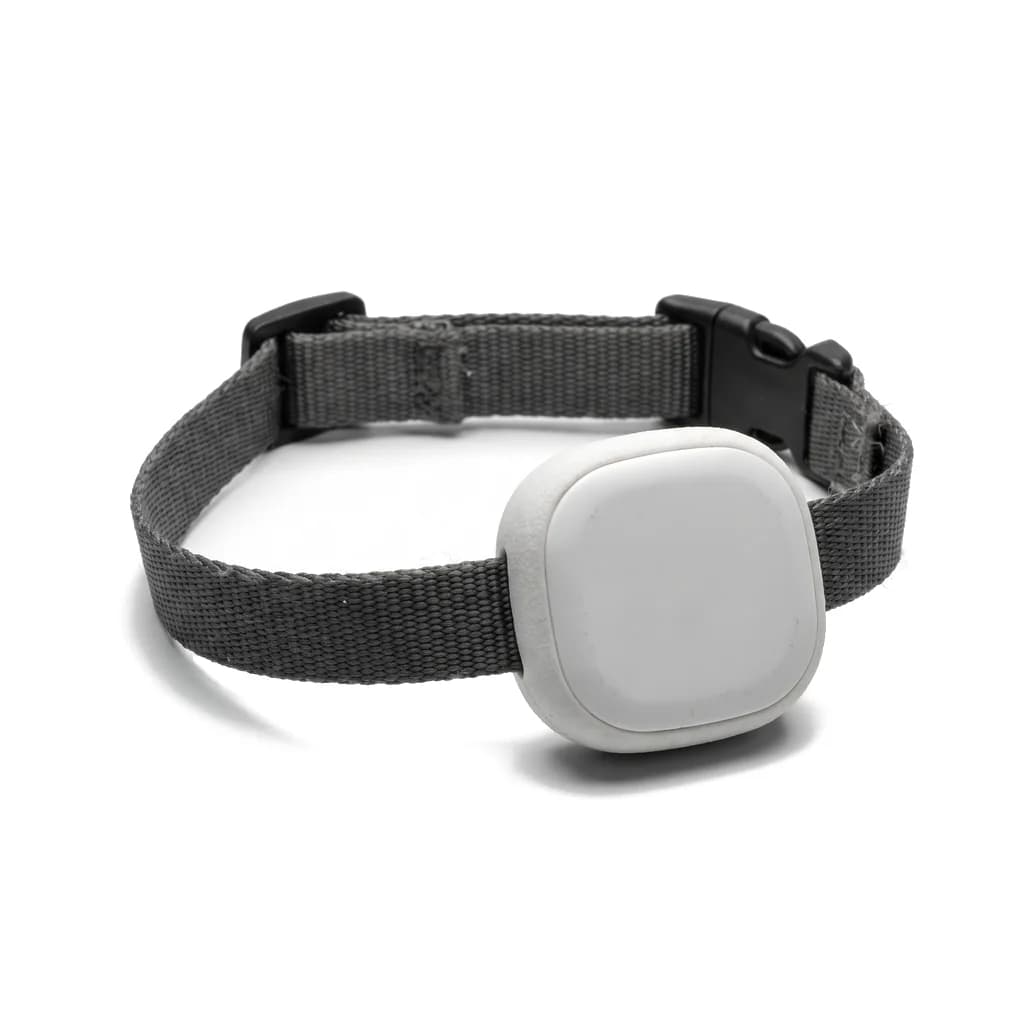 Traqueur GPS Animal de Compagnie